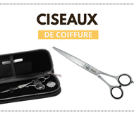 Ciseaux de coiffure