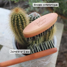 Brosse à Barbe - 8.5cm - Fibres de Cactus